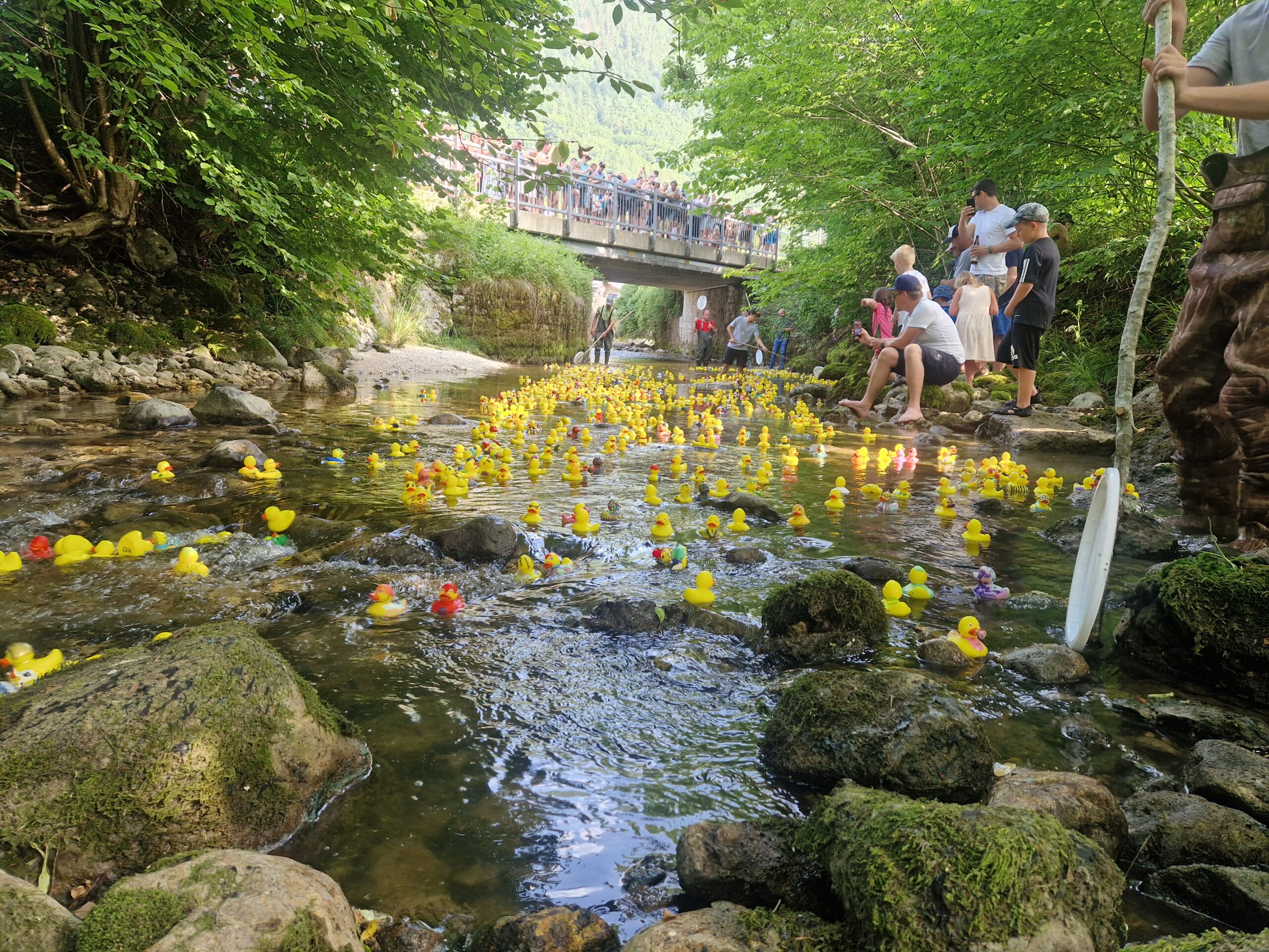 inbound3764696683332191401