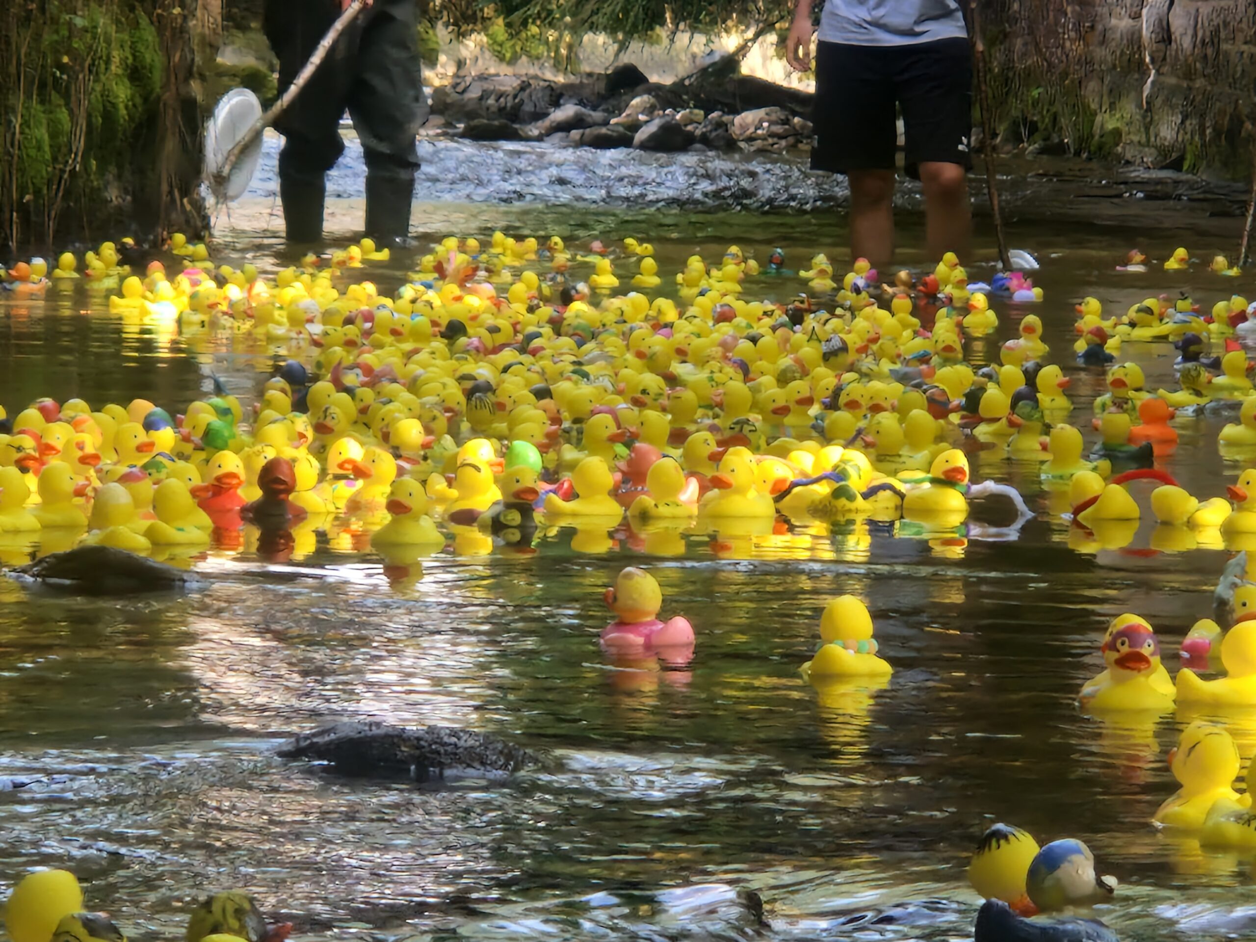 inbound59210918792531537