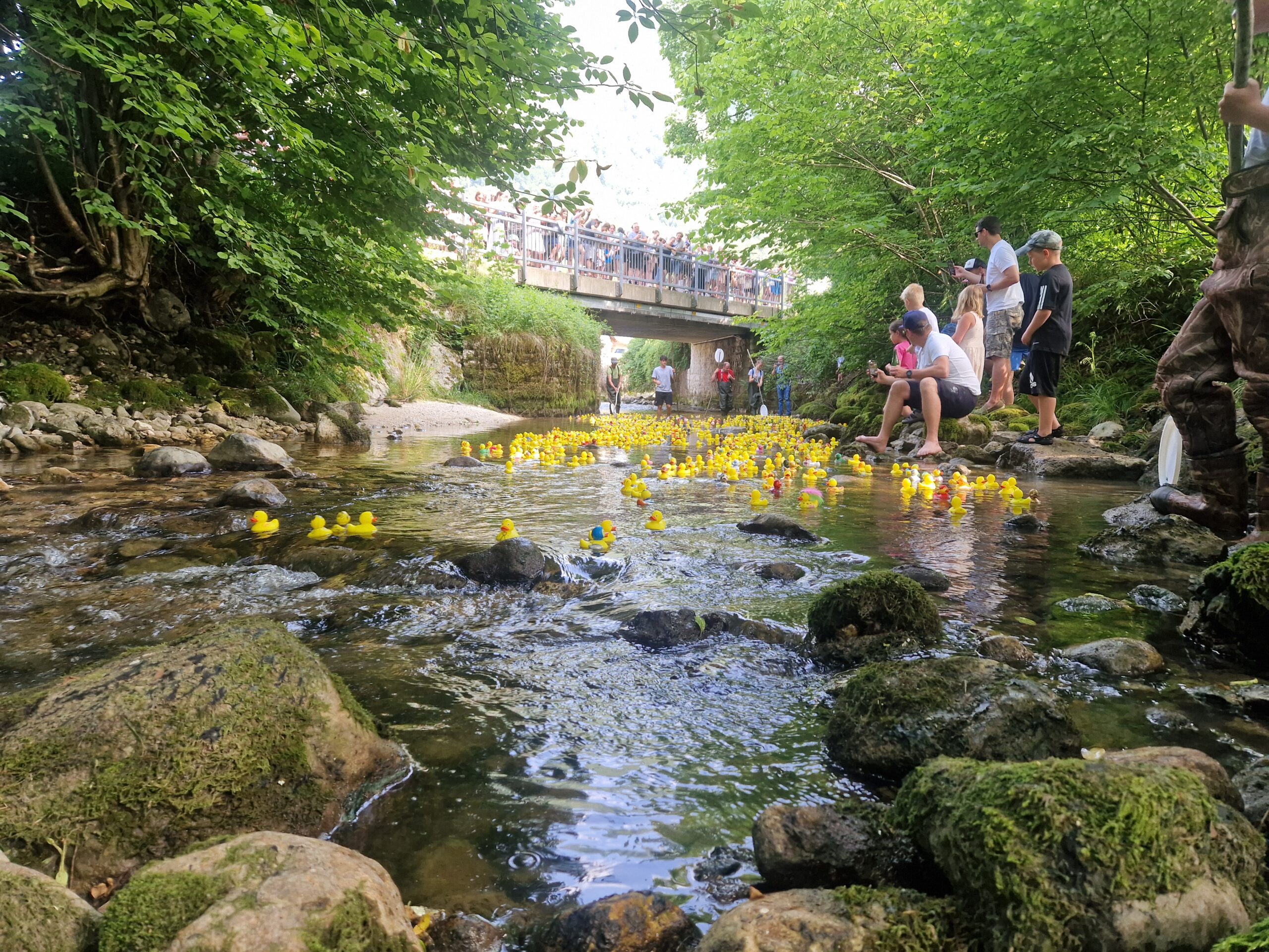 inbound6133822120894672853