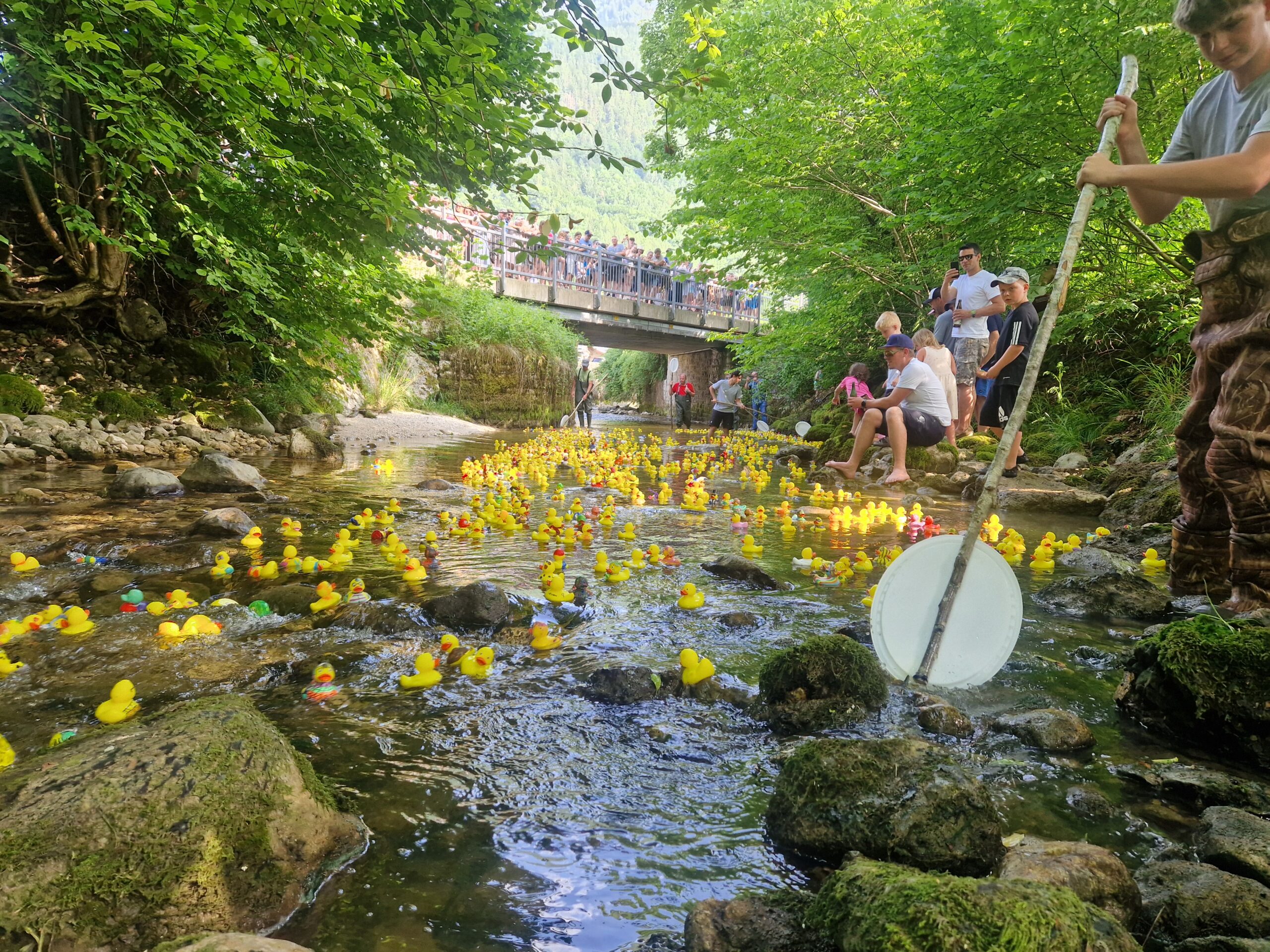 inbound6230718061169275017