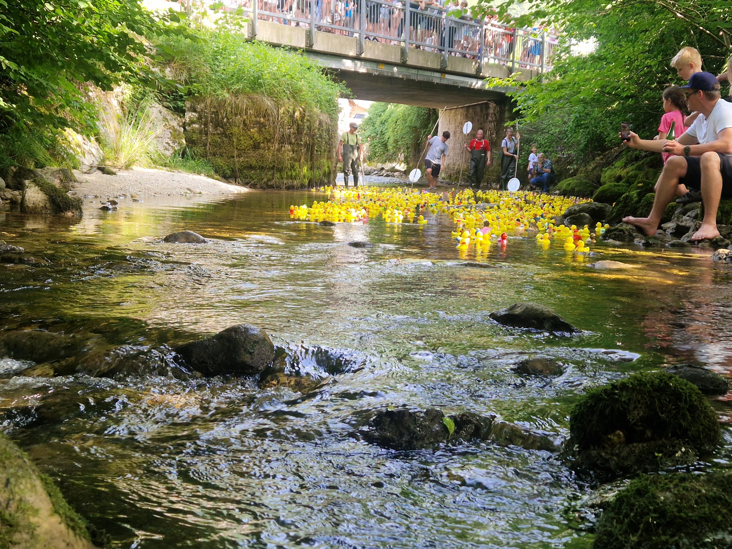 inbound6247232685002306460