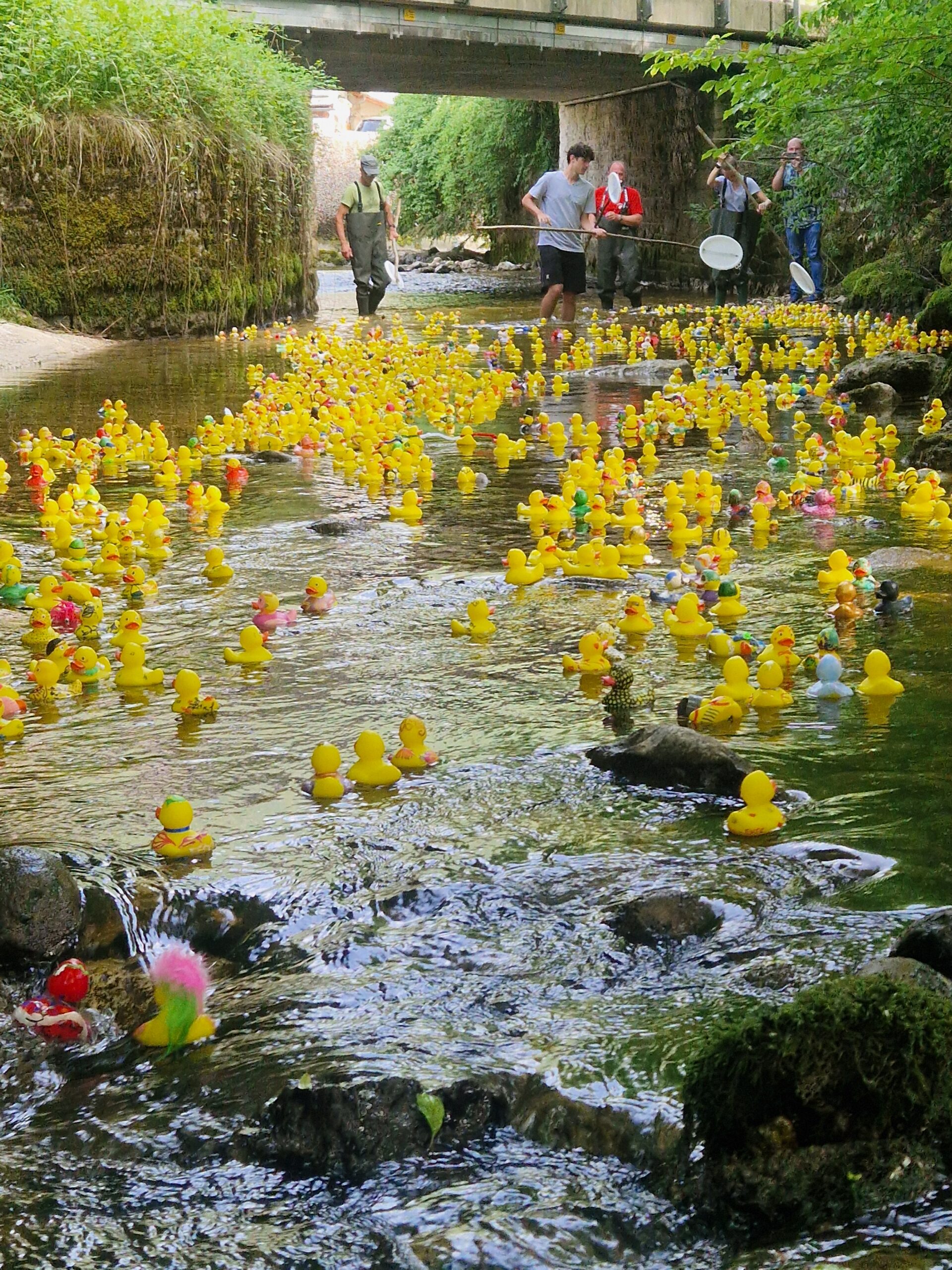 inbound7814148732286521455