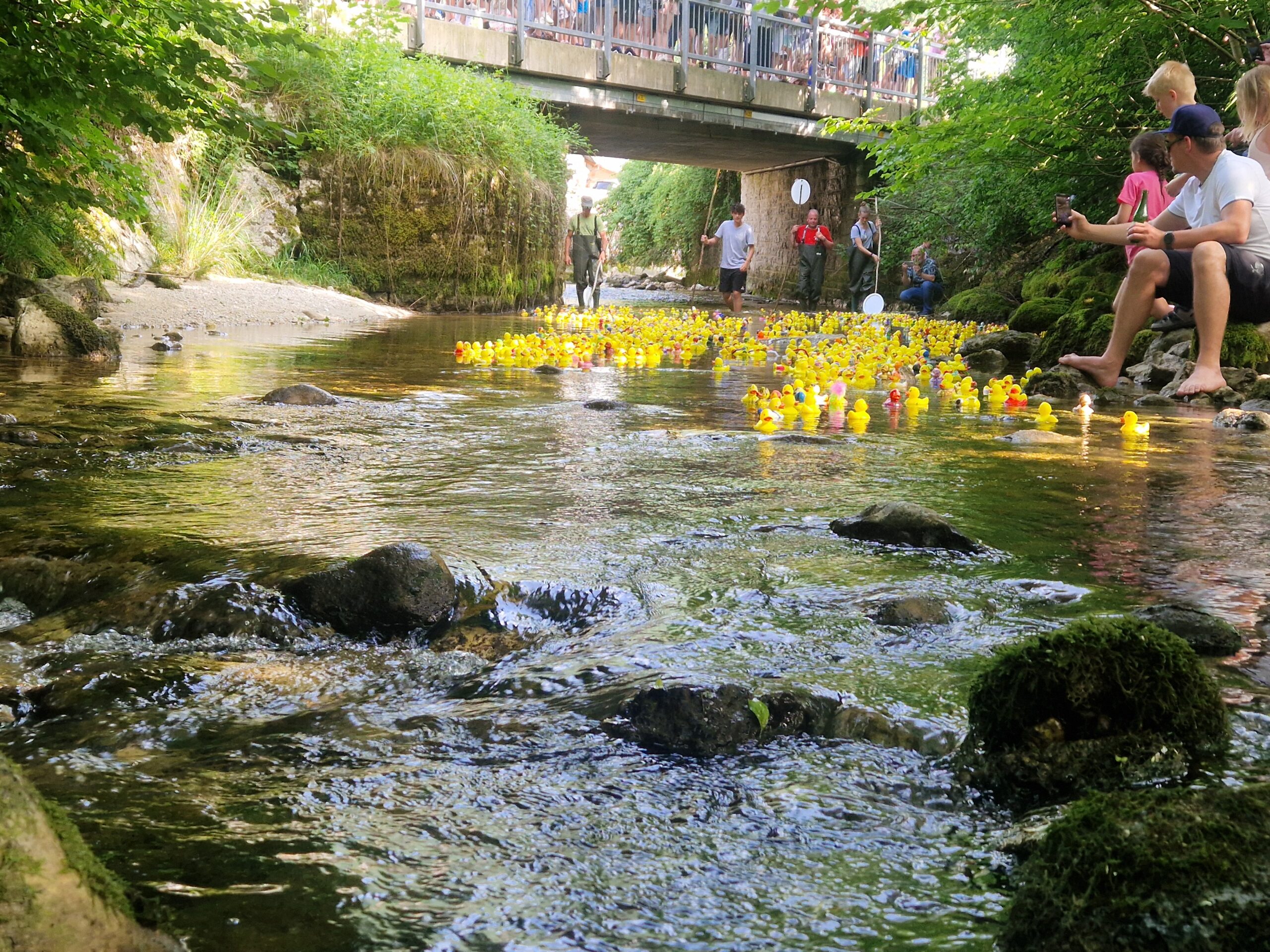 inbound7898861358228837808