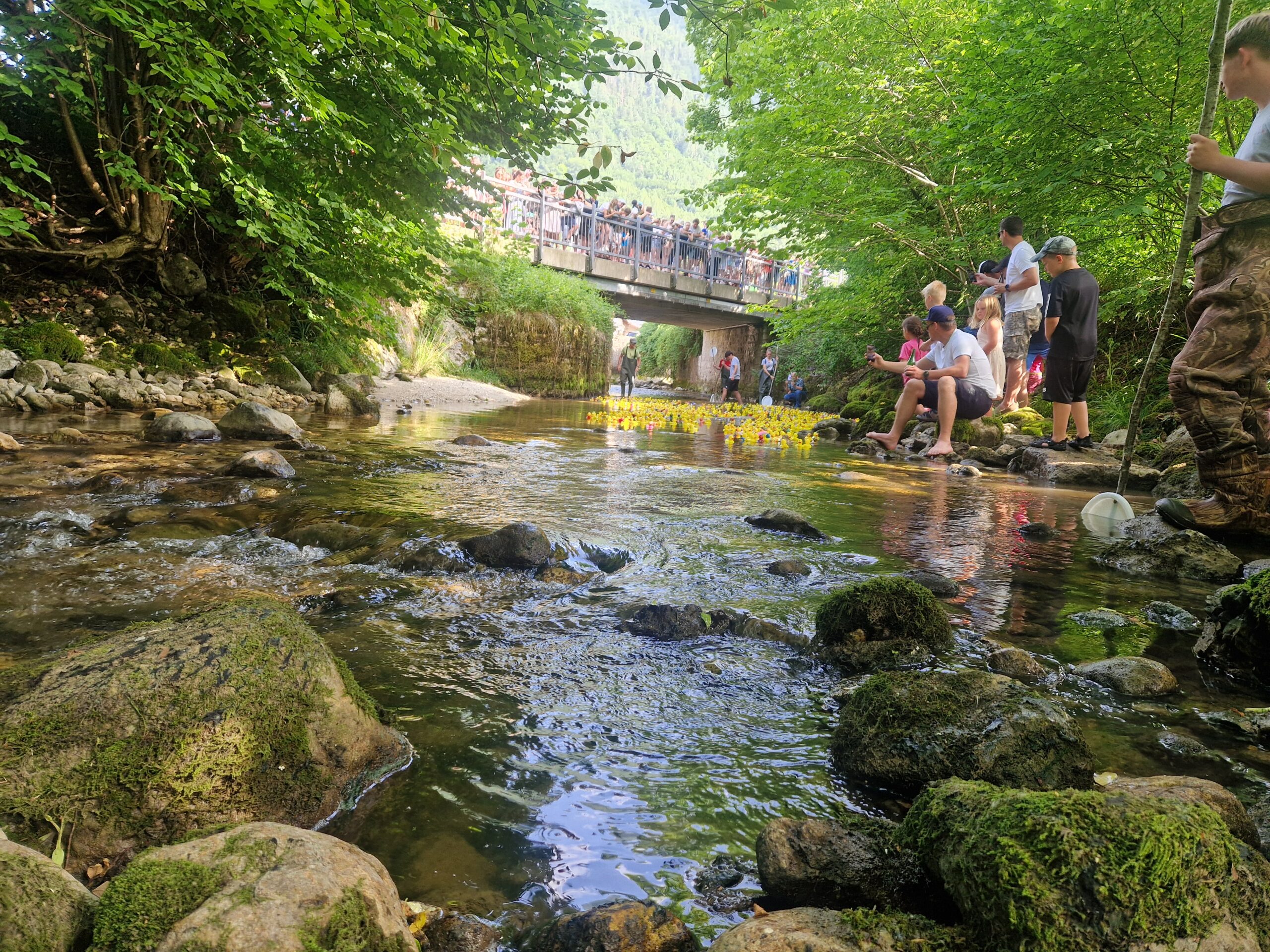 inbound8613839974332727865